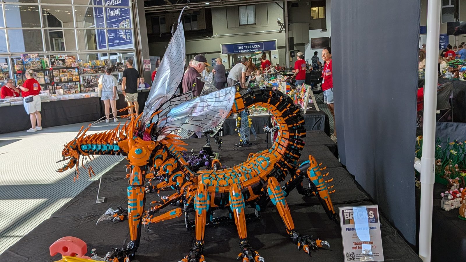 A huge orange and black insect-like dragon with translucent wings